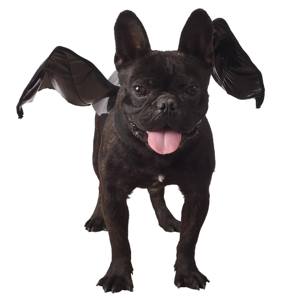 Party Fiesta Kostüm Fledermausflügel (M) 3 Party Fiesta Kostüm Fledermausflügel (M)