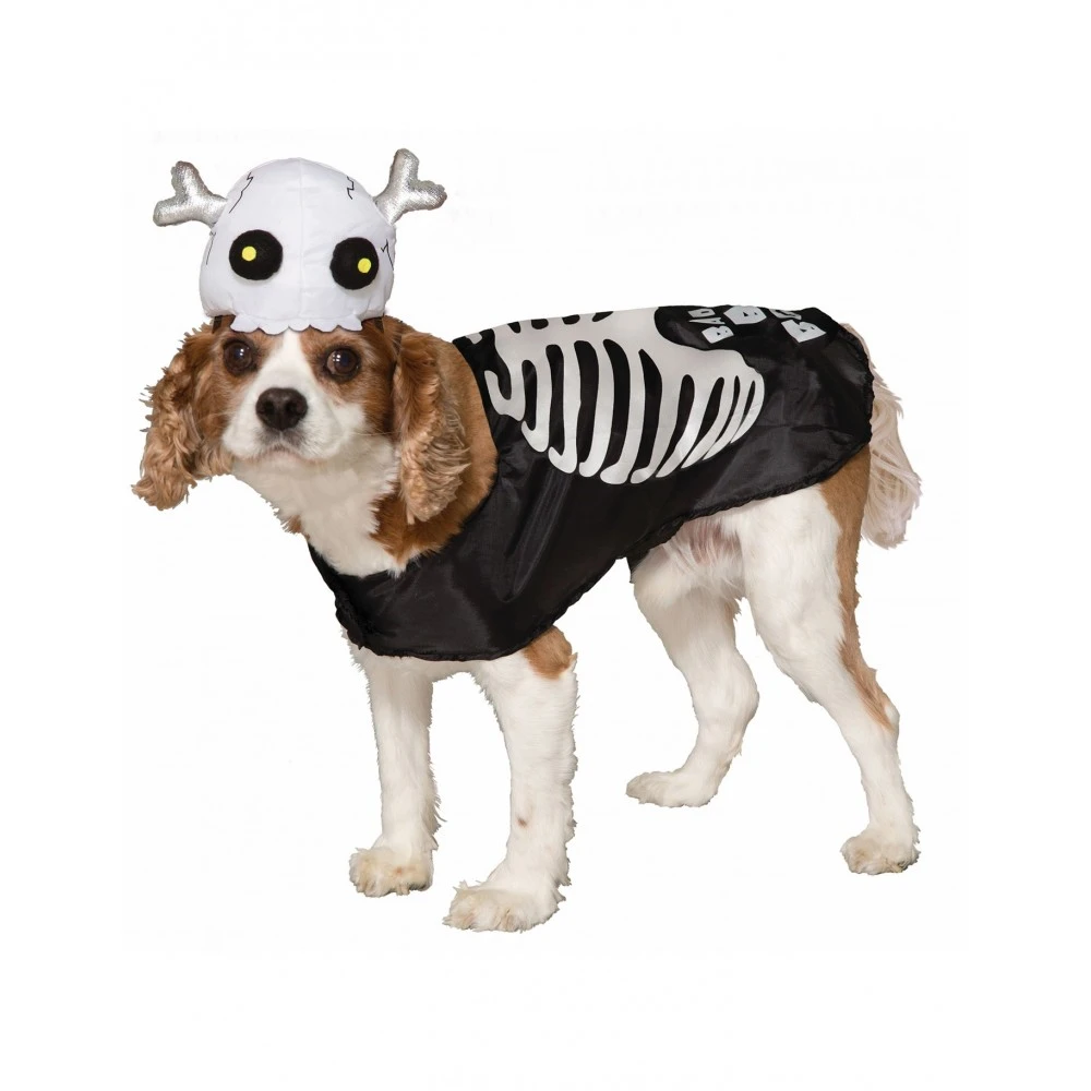 Party Fiesta Kostüm Kürbis Haustier 3 Party Fiesta Kostüm Kürbis Haustier