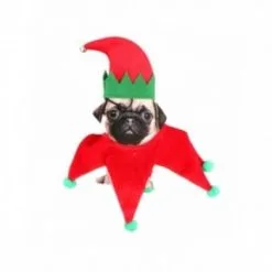 Party Fiesta Mütze + Halskette Elfe Hündchen