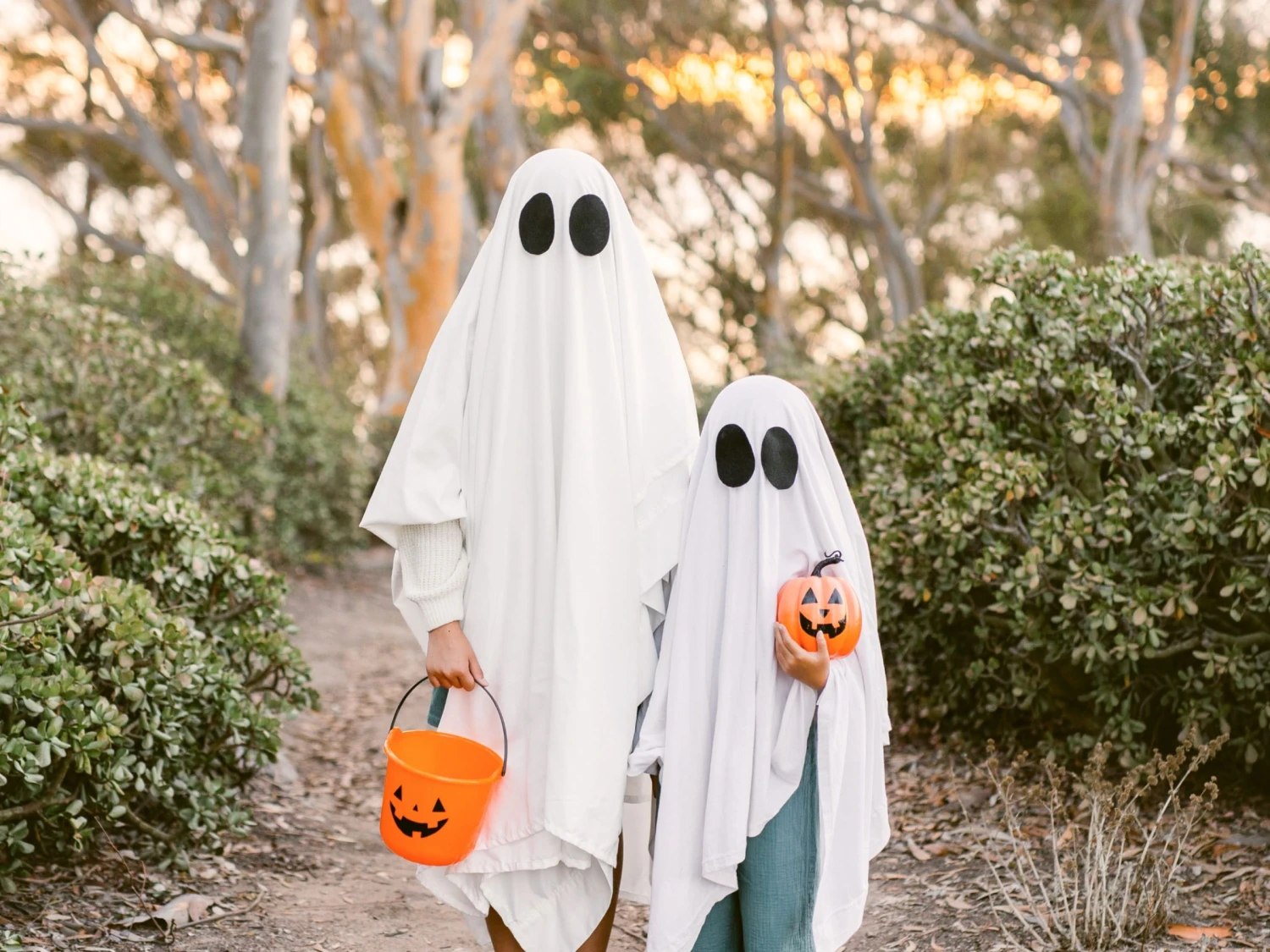 Party Fiesta Geschaft -Party Fiesta Geschaft tai xuong 2025 09 17T193443.467